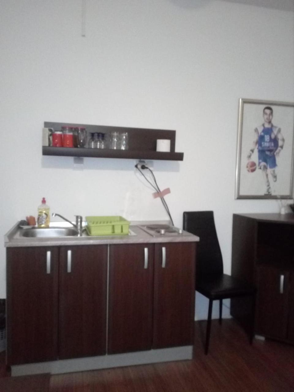 Apartment Viktor stan na dan Sabac Bagian luar foto